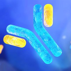 클릭하시면 닫힙니다.이미지 저장을 원하시면 마우스 오른쪽클릭후 '다른이름으로 저장'을 하세요