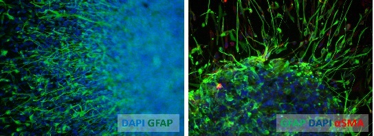 클릭하시면 닫힙니다.이미지 저장을 원하시면 마우스 오른쪽클릭후 '다른이름으로 저장'을 하세요