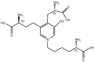 클릭하시면 닫힙니다.이미지 저장을 원하시면 마우스 오른쪽클릭후 '다른이름으로 저장'을 하세요