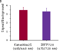 클릭하시면 닫힙니다.이미지 저장을 원하시면 마우스 오른쪽클릭후 '다른이름으로 저장'을 하세요