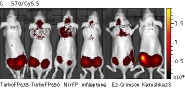 클릭하시면 닫힙니다.이미지 저장을 원하시면 마우스 오른쪽클릭후 '다른이름으로 저장'을 하세요