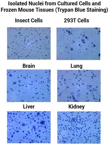 클릭하시면 닫힙니다.이미지 저장을 원하시면 마우스 오른쪽클릭후 '다른이름으로 저장'을 하세요