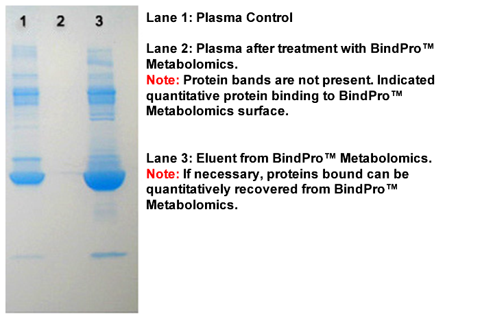 bindpro%20metabolomics.png