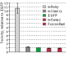 883280504_ZigES5RJ_FusionRed-cytotoxicity.png