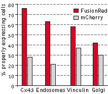 883280504_q9dSKo64_graph_FusionRed-mCherry.png