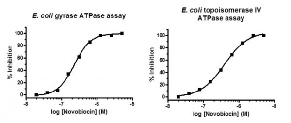 883279375_GHNnasqe_Topoisomerase_ATPase_Assays.jpg