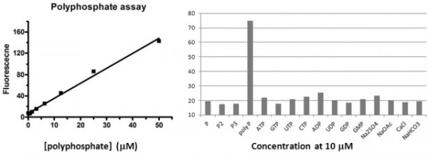 883280010_VyordFA1_PPD1000_Polyphosphate_fig.jpg